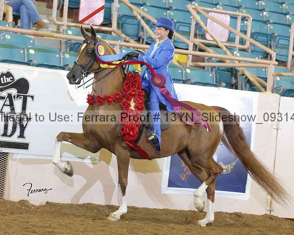 Proof Number 13yn_slideshow_09314