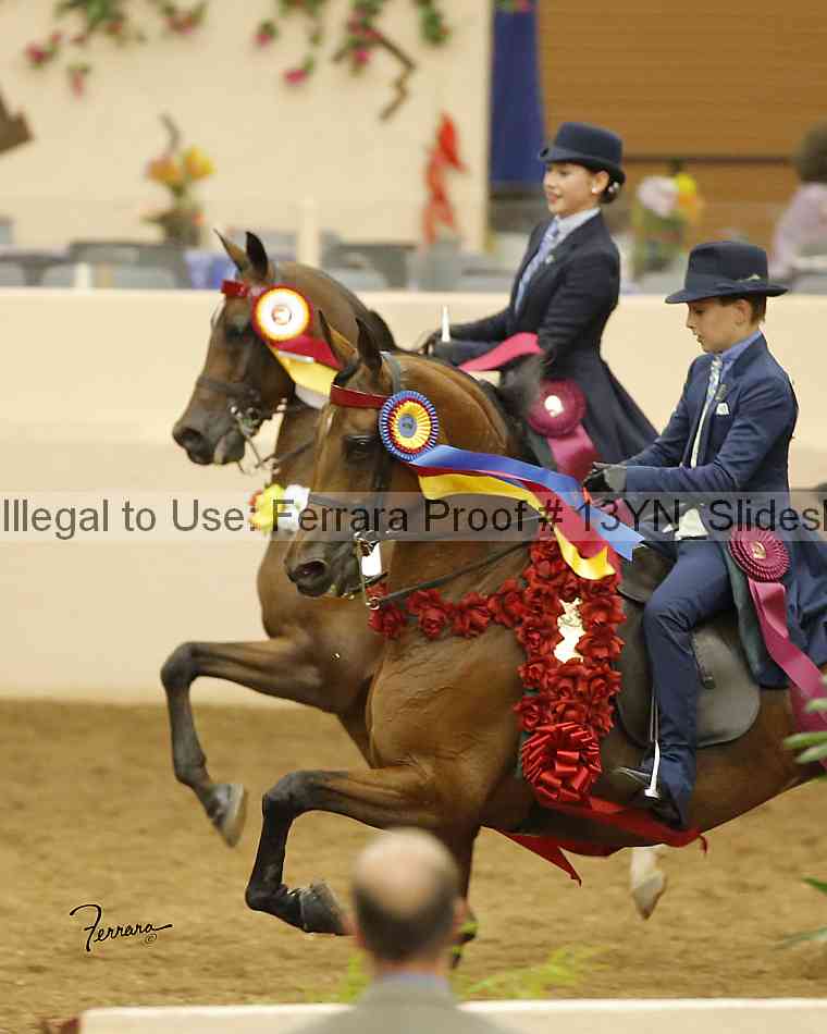 Proof Number 13yn_slideshow_09328