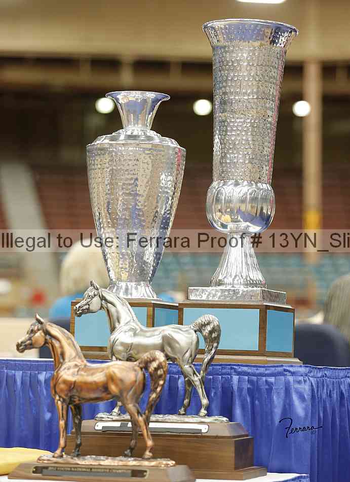 Proof Number 13yn_slideshow_09334