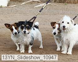 13yn_slideshow_10947 thumbnail