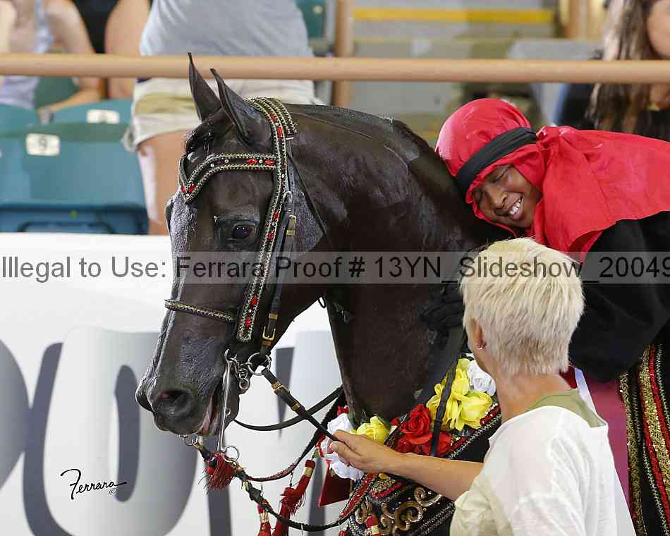 Proof Number 13yn_slideshow_20049