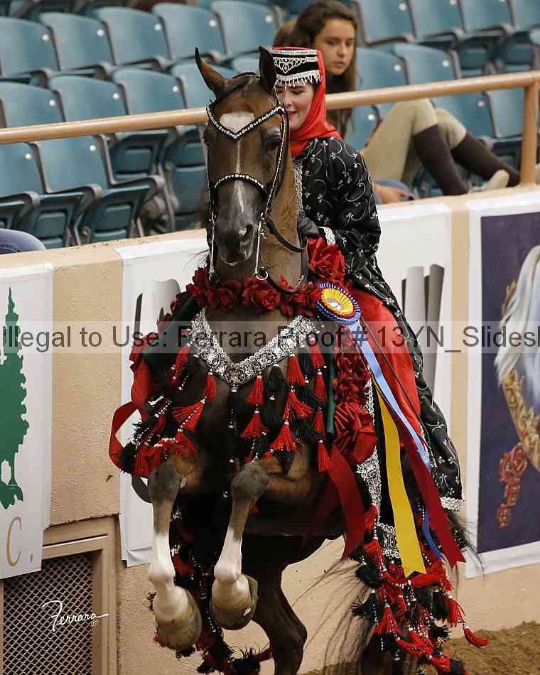Proof Number 13yn_slideshow_20051