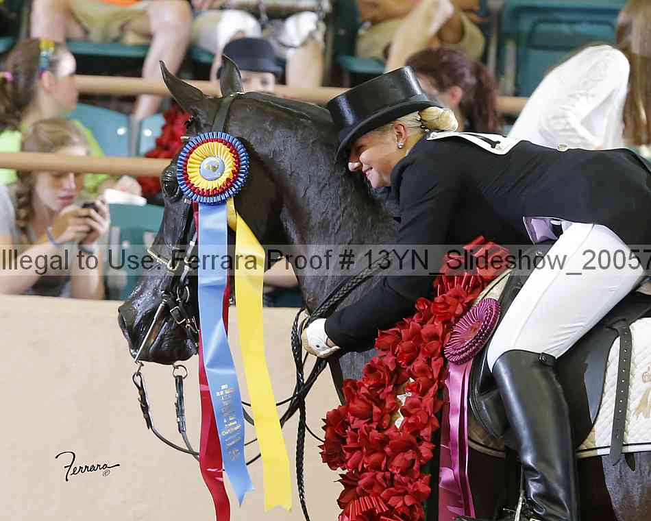 Proof Number 13yn_slideshow_20057