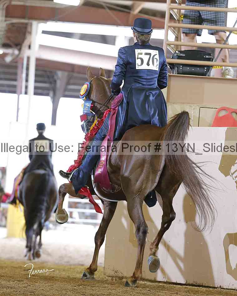 Proof Number 13yn_slideshow_20069