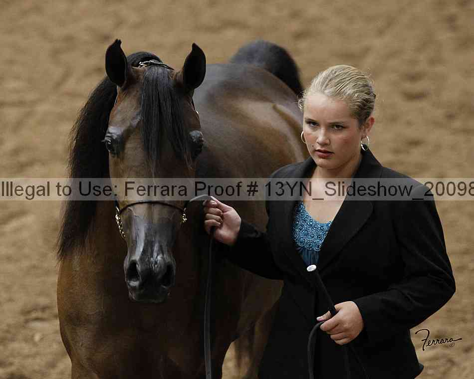 Proof Number 13yn_slideshow_20098