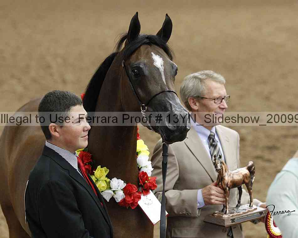 Proof Number 13yn_slideshow_20099