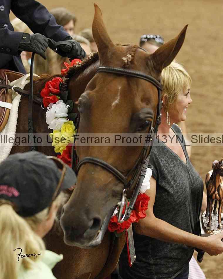 Proof Number 13yn_slideshow_20102