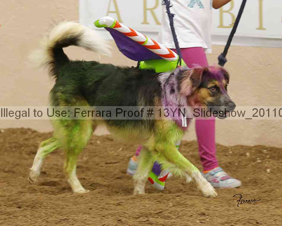 Proof Number 13yn_slideshow_20110