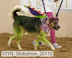 13yn_slideshow_20110 thumbnail