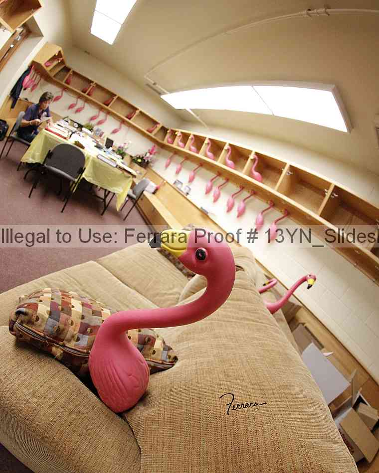 Proof Number 13yn_slideshow_20115