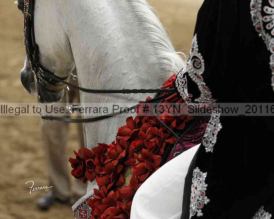 Proof Number 13yn_slideshow_20116