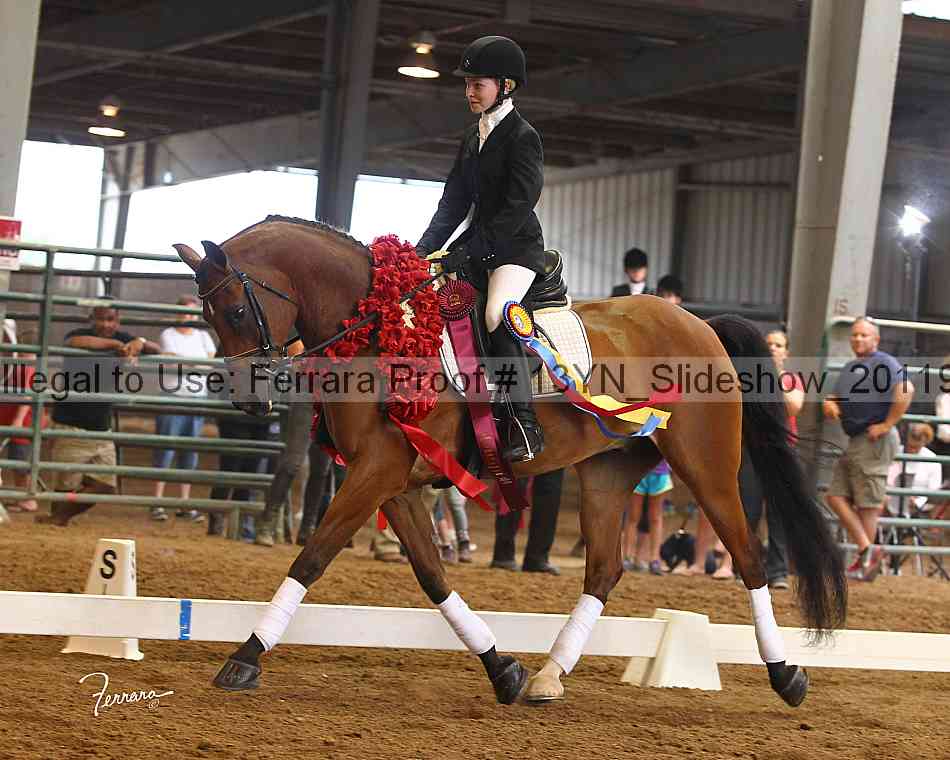 Proof Number 13yn_slideshow_20119