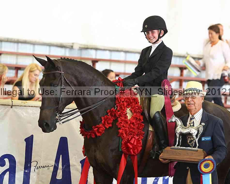 Proof Number 13yn_slideshow_20121