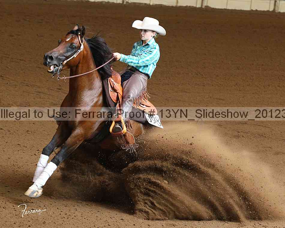 Proof Number 13yn_slideshow_20123