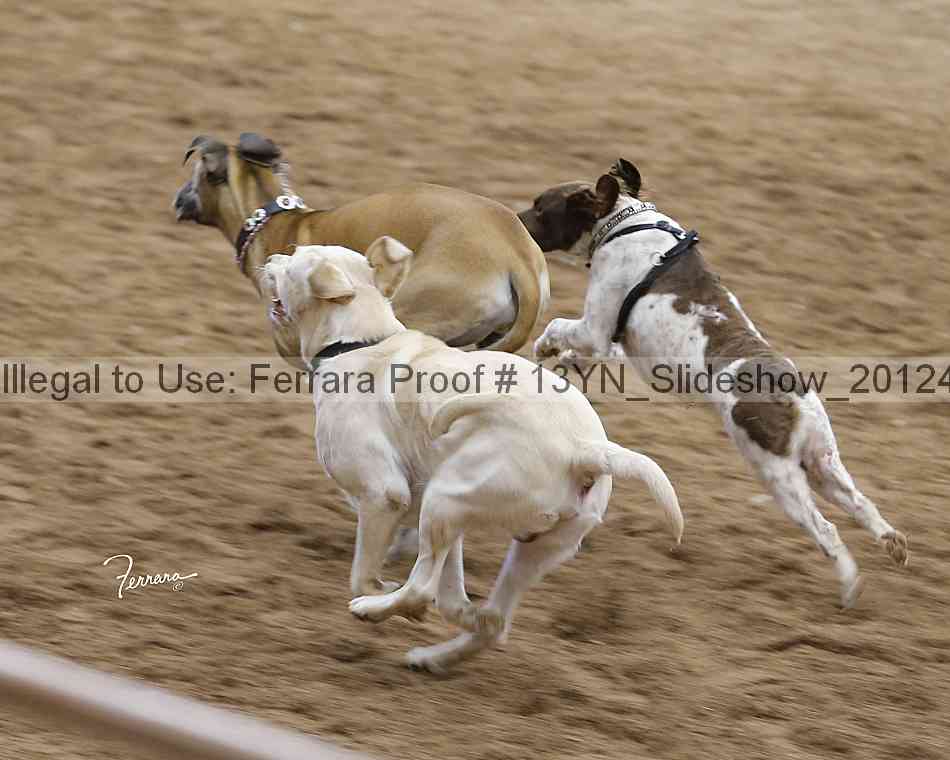 Proof Number 13yn_slideshow_20124