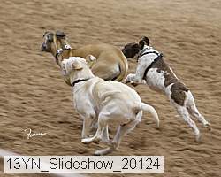 13yn_slideshow_20124 thumbnail