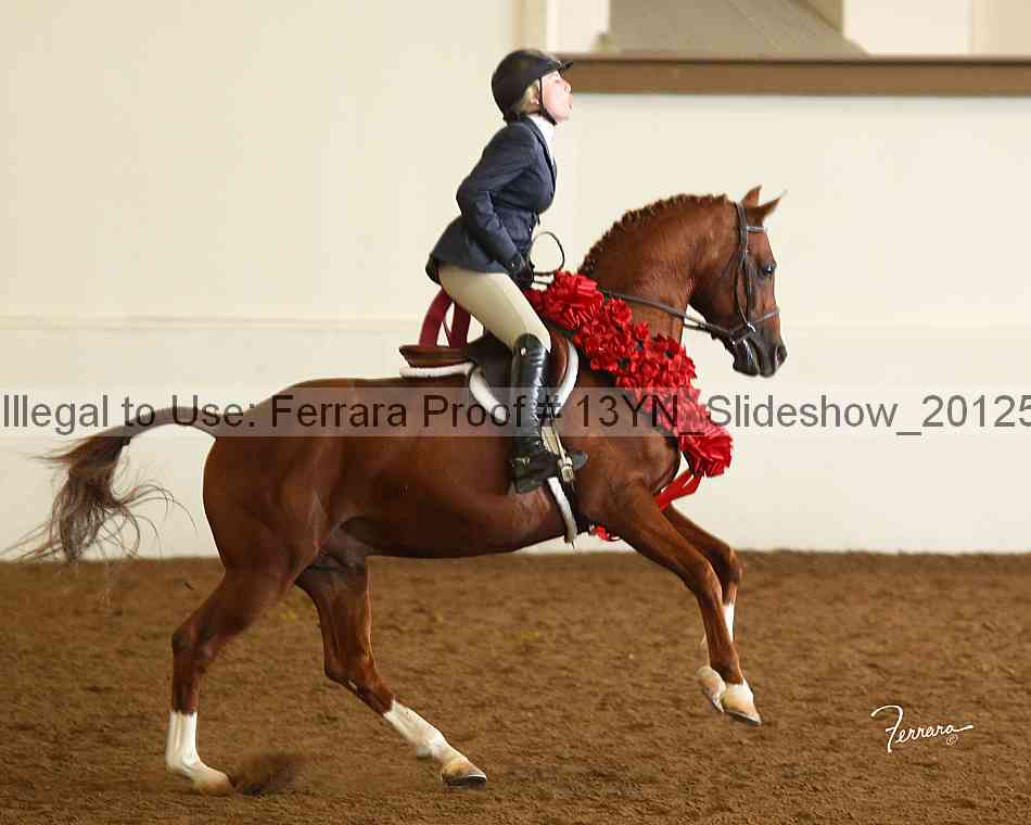 Proof Number 13yn_slideshow_20125