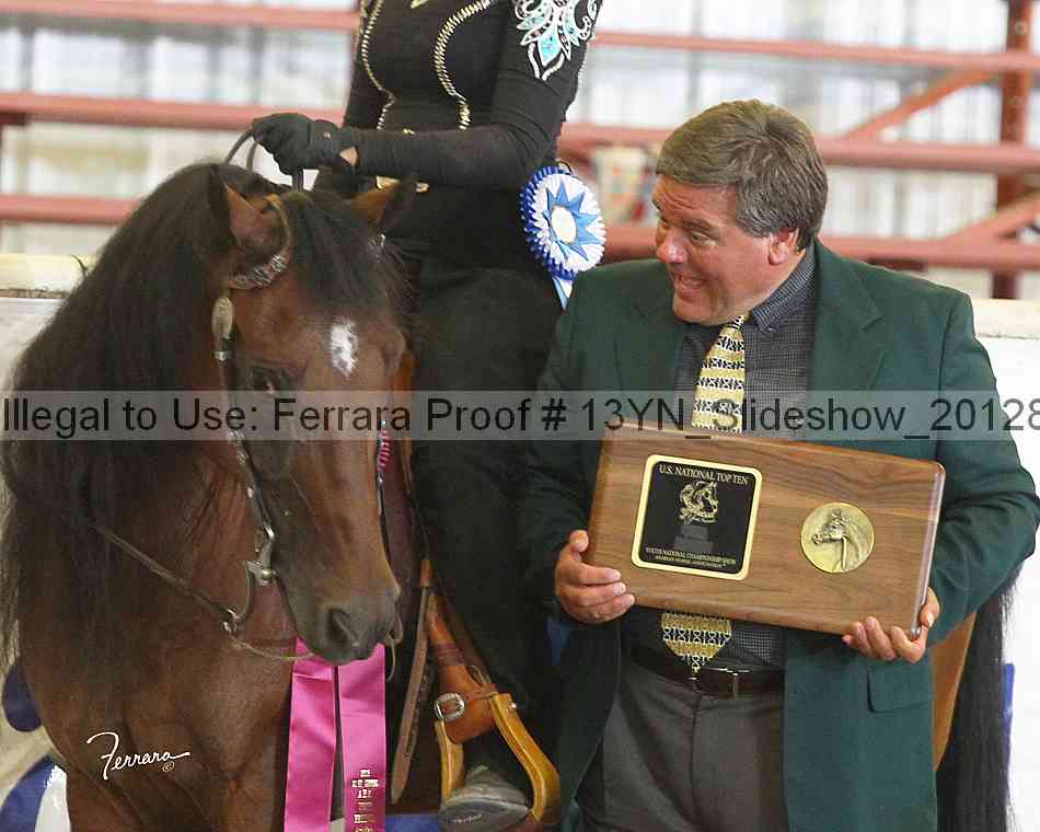 Proof Number 13yn_slideshow_20128