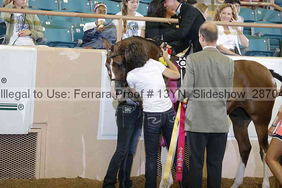 Proof Number 13yn_slideshow_28704
