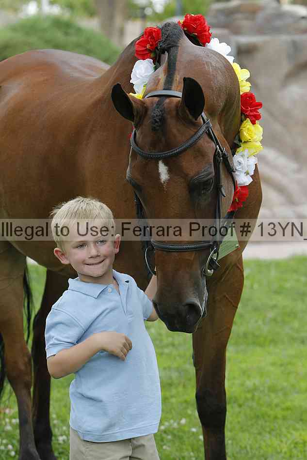 Proof Number 13yn_slideshow_28733