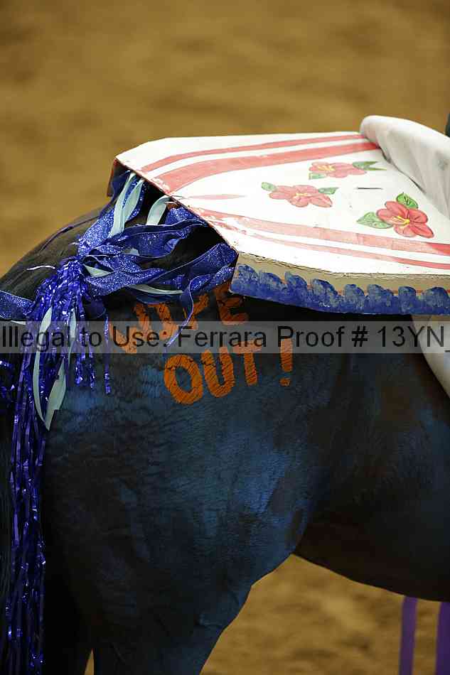 Proof Number 13yn_slideshow_28735