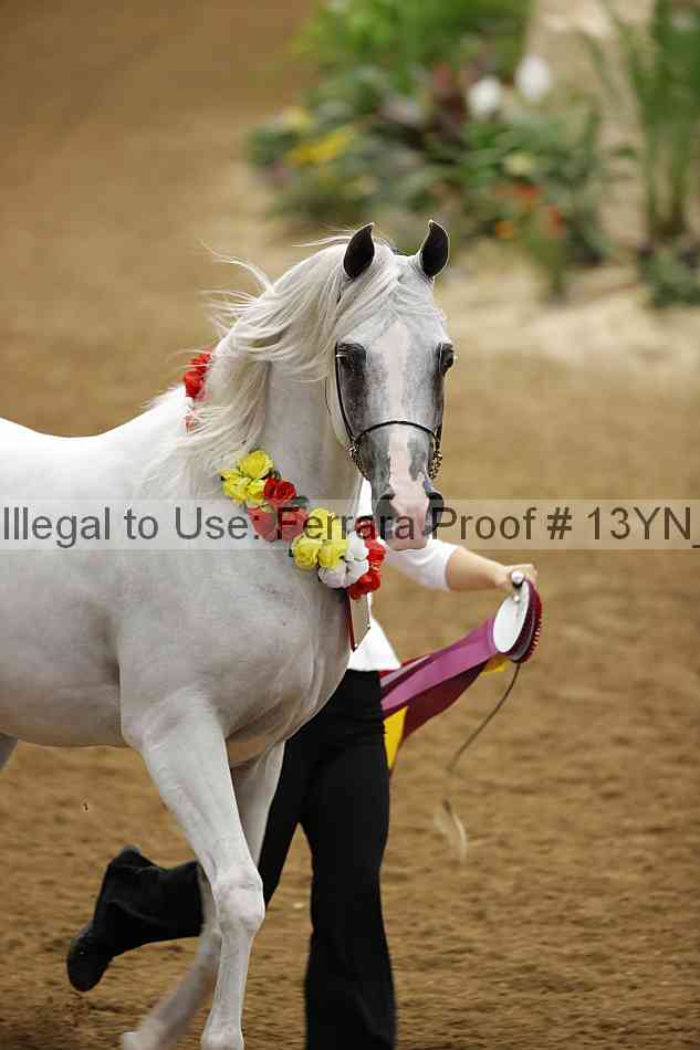 Proof Number 13yn_slideshow_28736