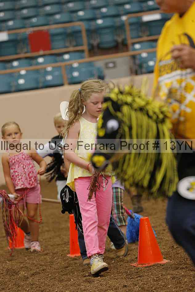 Proof Number 13yn_08430