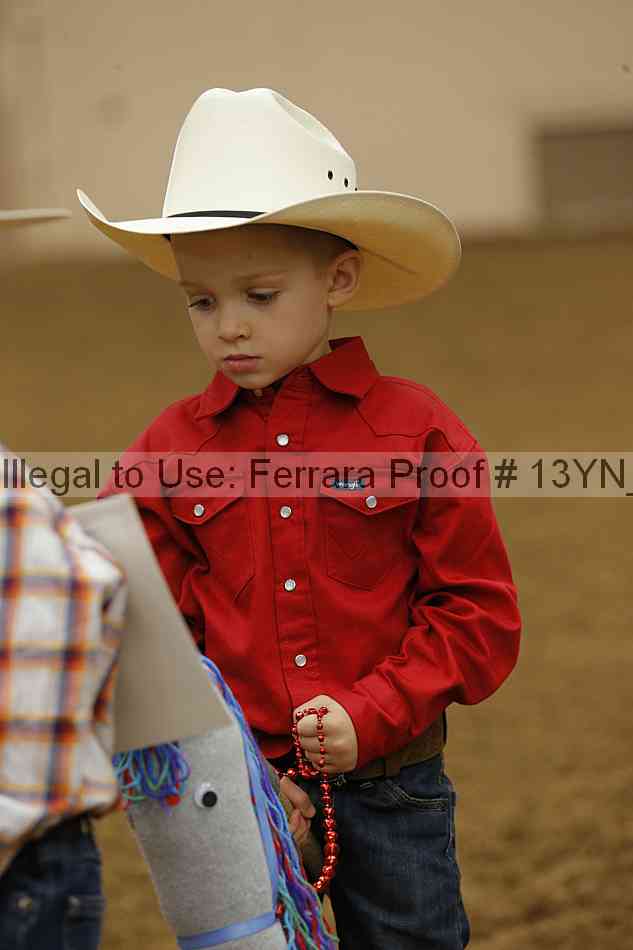 Proof Number 13yn_08434