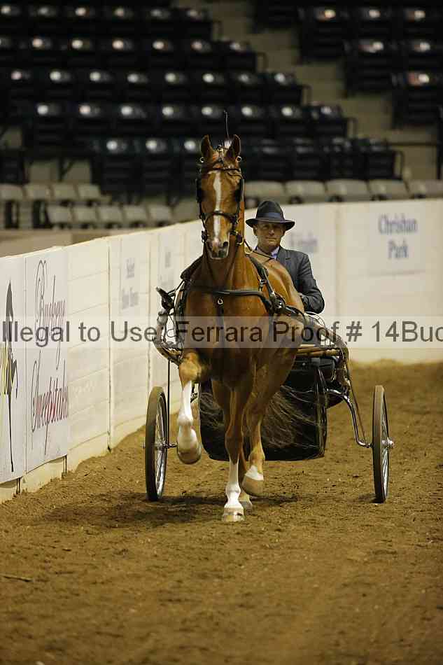 Proof Number 14buck_0072