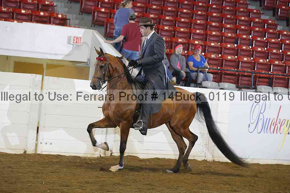 Proof Number 14buck_0119