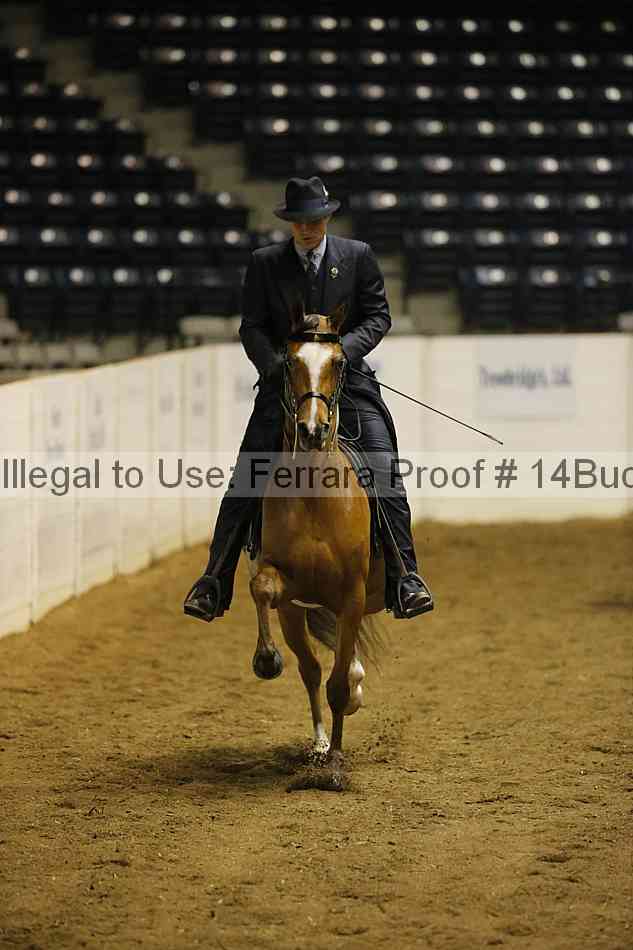 Proof Number 14buck_0150