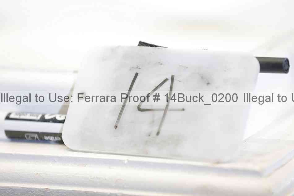 Proof Number 14buck_0200