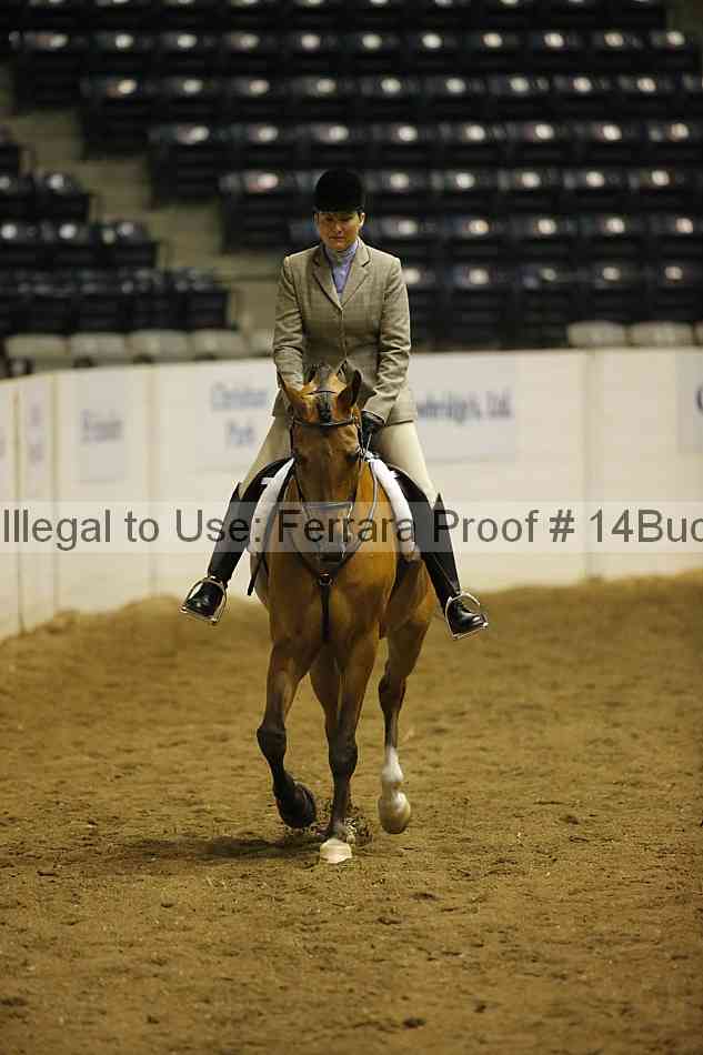 Proof Number 14buck_0257