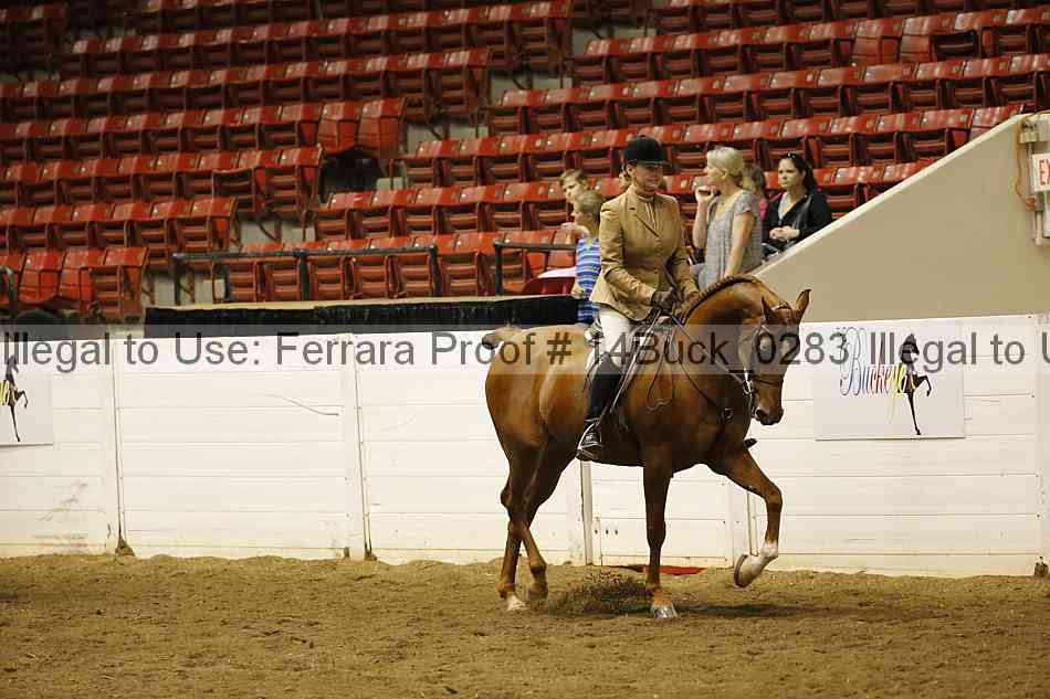 Proof Number 14buck_0283