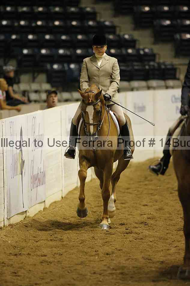 Proof Number 14buck_0362