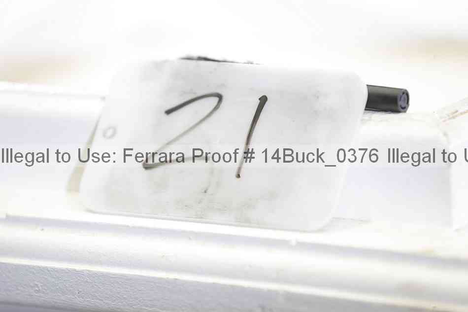 Proof Number 14buck_0376