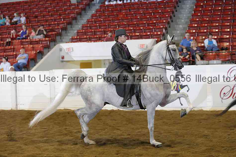 Proof Number 14buck_0556