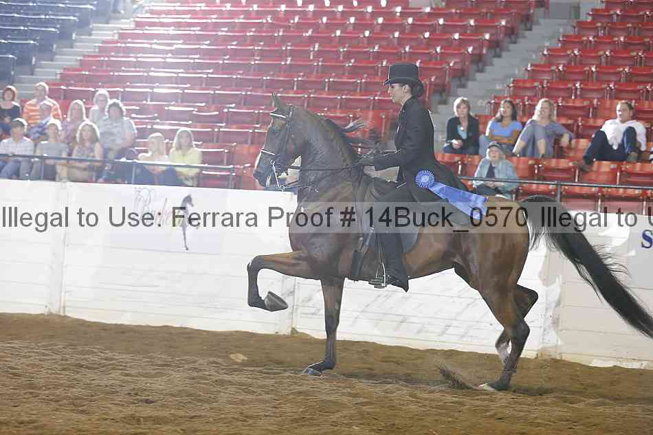 Proof Number 14buck_0570