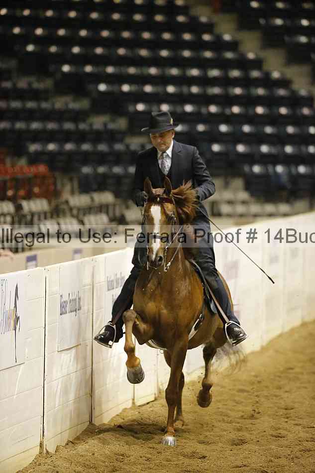 Proof Number 14buck_0665