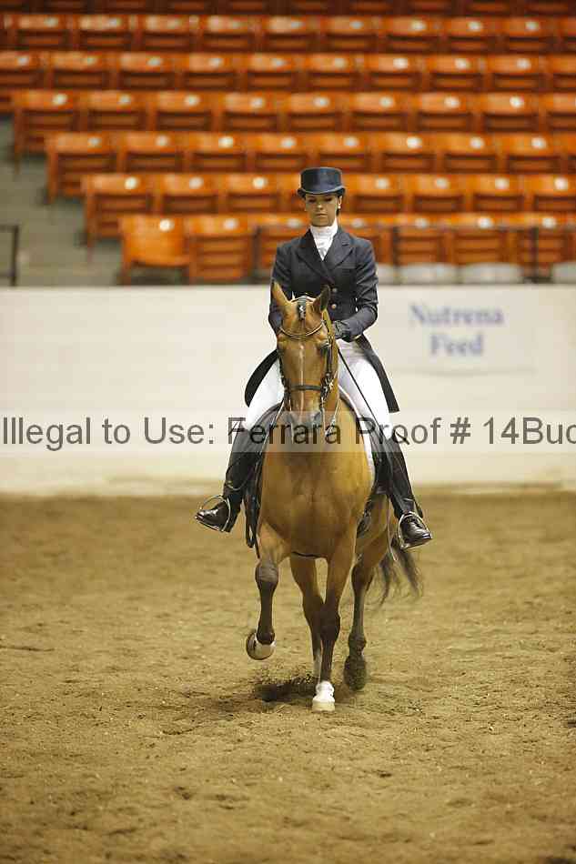 Proof Number 14buck_0686