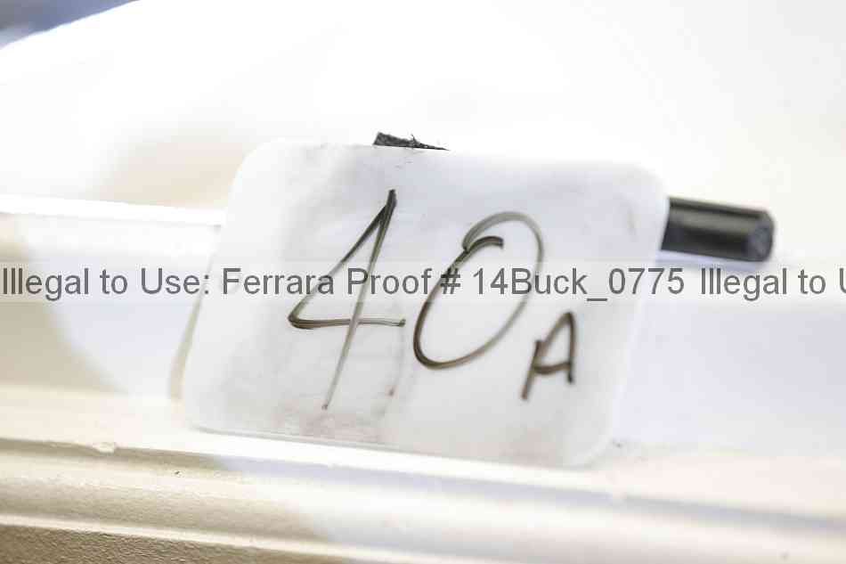 Proof Number 14buck_0775
