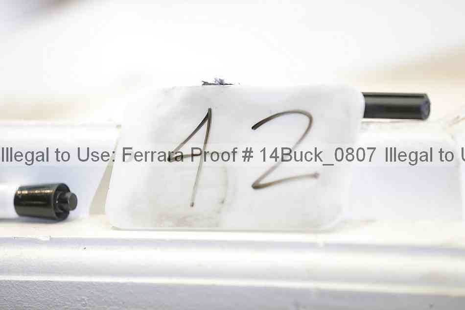 Proof Number 14buck_0807