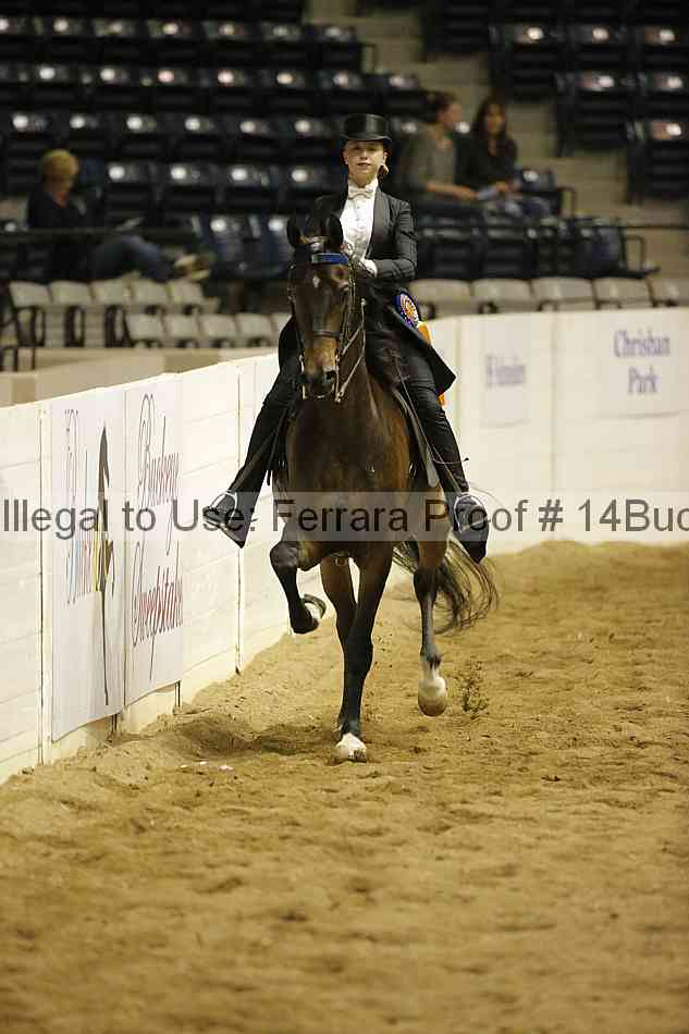 Proof Number 14buck_0960