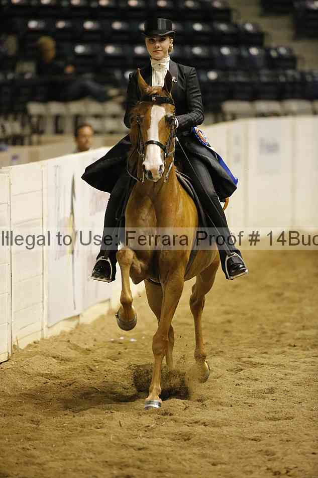 Proof Number 14buck_0964