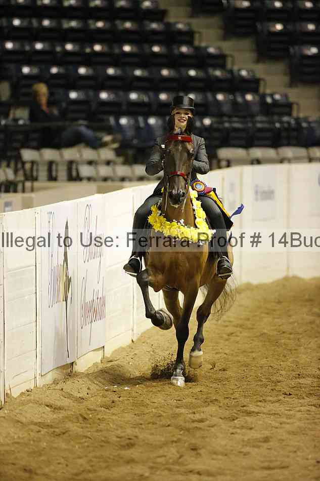 Proof Number 14buck_0975