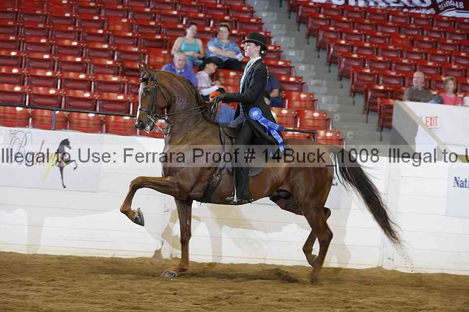 Proof Number 14buck_1008