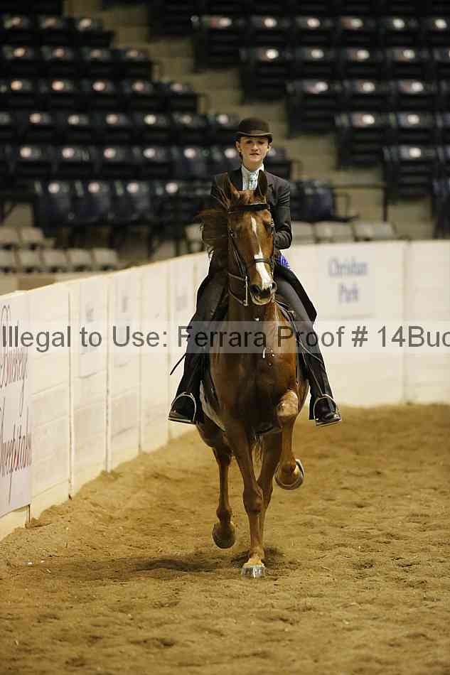 Proof Number 14buck_1009