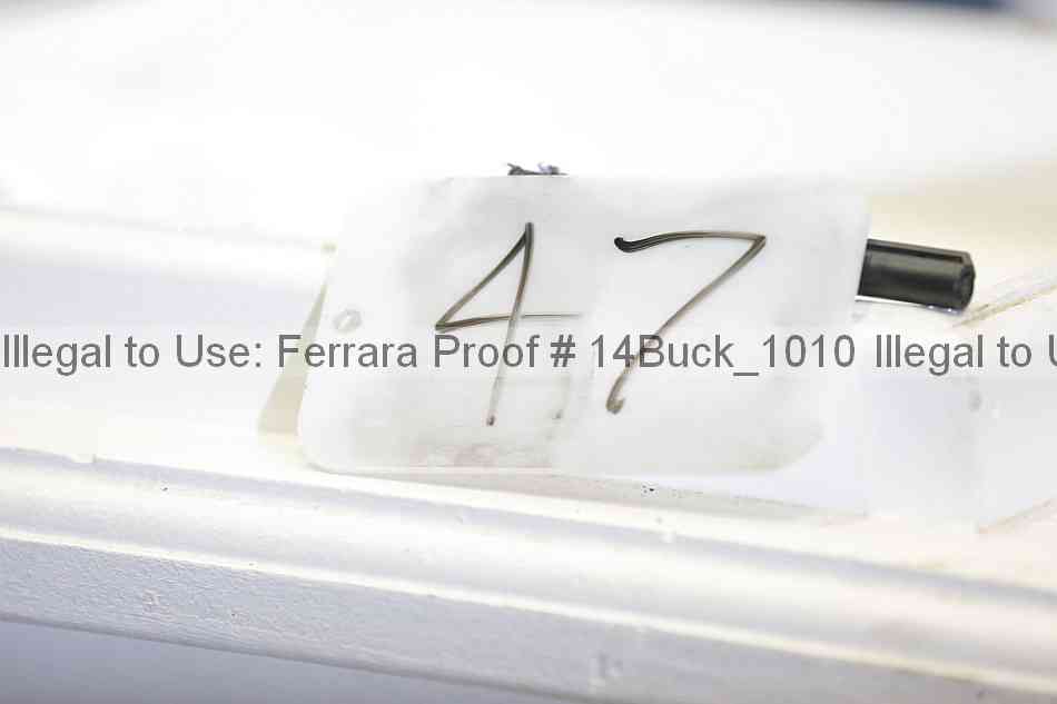 Proof Number 14buck_1010