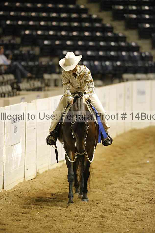 Proof Number 14buck_1065