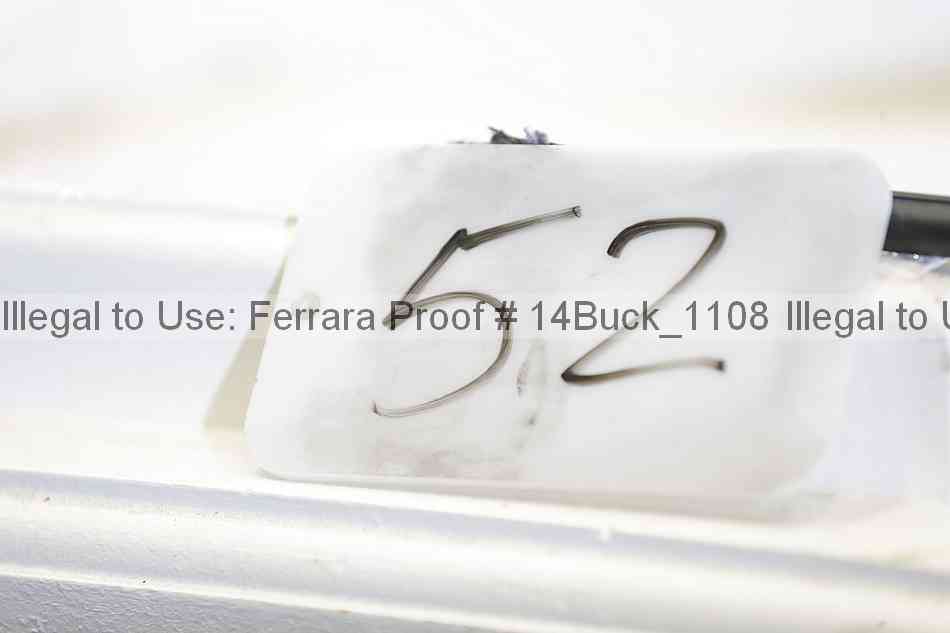 Proof Number 14buck_1108